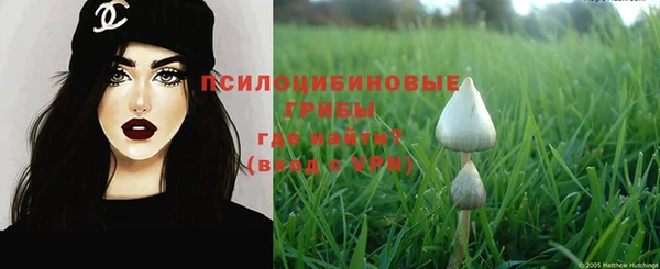 меф Алексин