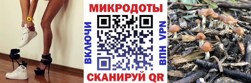 Псилоцибиновые грибы мицелий Невьянск